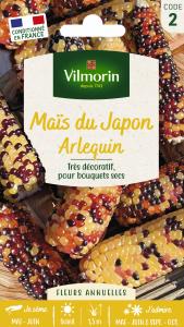 Maïs du Japon Arlequin